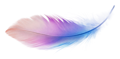 Colorful feather with a gradient in soft tones, cut out - stock png.