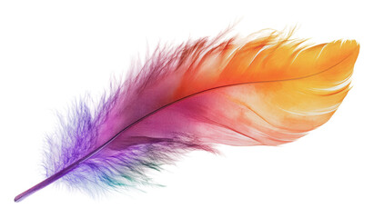 Obraz premium Colorful feather showcasing vibrant hues of nature, cut out - stock png.