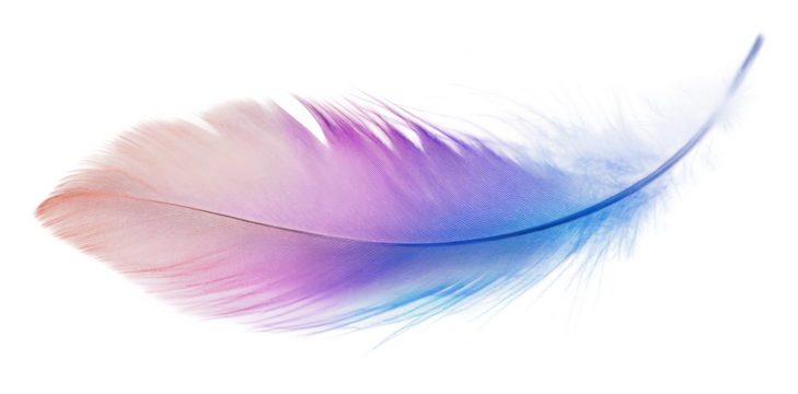 Colorful feather with a gradient in soft tones, cut out - stock png.