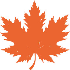 Maple leaf vector icon. Maple leaf vector illustration. Maple leaf vector shape icon. Forest and wood symbol sign. Nature tree logo.