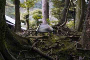 Escalera de madera en un bosque de un templo japonés © Hiroto