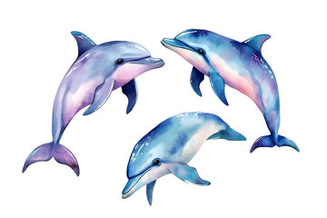 Obraz premium Watercolor painting of set Dolphin isolated on transparent or white background, png