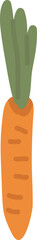 Handdrawn Carrot Vegetable