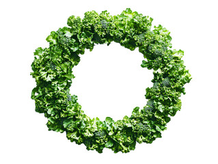 Fresh Green Broccoli Florets in a Perfect Circular Arrangement