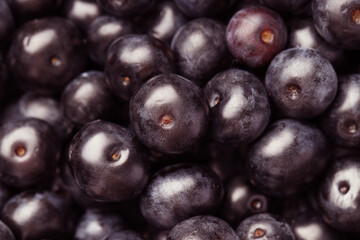 Ripe acai berries as background, closeup view