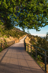 wooden path in the mountain at the golden hour with grass and a tree