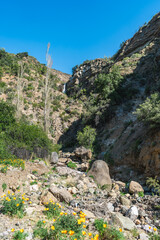 waterfall in the mountains with a blue sky as background in Cajón del Maipo, near Santiago, Chile