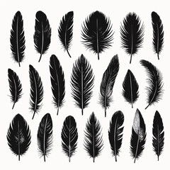 Obraz premium Set of bird feather black silhouettes. Plumelet collection. Vector of black feather, isolated on white background .