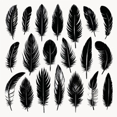 Set of bird feather black silhouettes. Plumelet collection. Vector of black feather, isolated on white background,