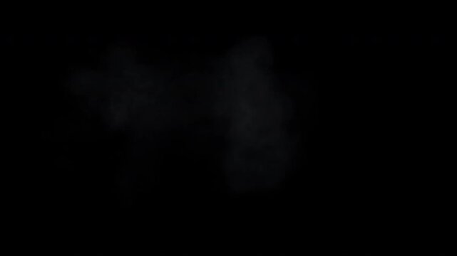 Smoke, steam explosion or puff animation with embedded alpha channel. ProRes 4444