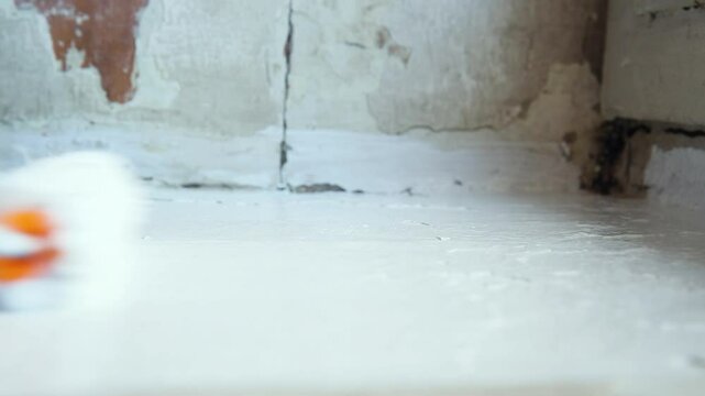 Big close-up. Almost the entire wall surface is painted white with a roller