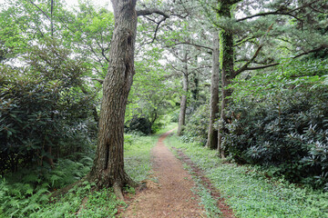 제주도 제주시 조천읍 신촌리 원당봉