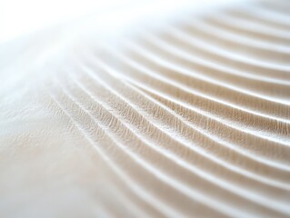 close-up of textured fabric with soft waves and lines