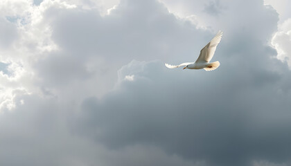 Fototapeta premium bird flying in cloudy skies isolated with white highlights, png