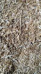 rice husks