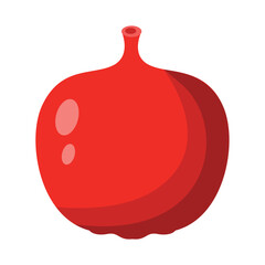 Pomegranate Vector Illustration