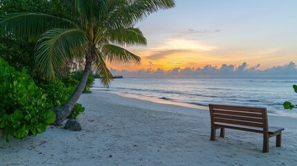 serene beach at sunset with palm trees and a wooden bench