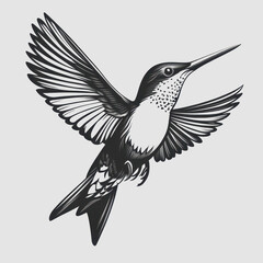 Obraz premium Black and White Illustrative Hummingbird in Flight with Detailed Feather Patterns and Intricate Wing Design, Capturing the Elegance and Grace of Nature's Tiny Aviators