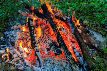 A pile of wood is burning in a fire pit