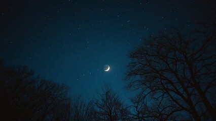 sky with stars