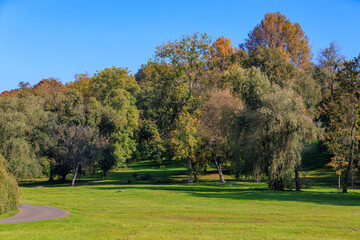 A park with a lot of trees and a path