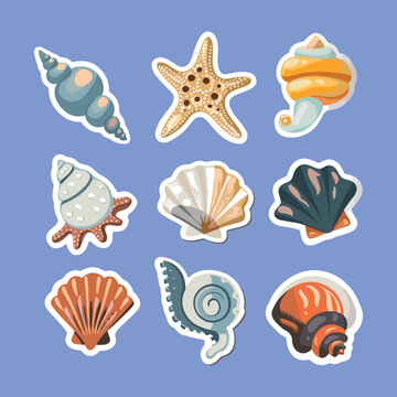 collection of cute sea shell vector stickers