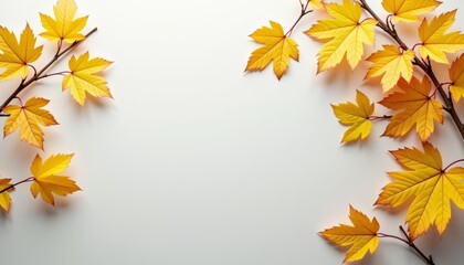  Autumns Touch  A Branch of Golden Leaves