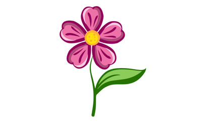 pink flower isolated