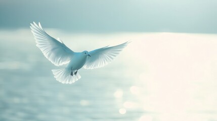 Fototapeta premium White dove in flight over calm water, wings outstretched, sunlight.