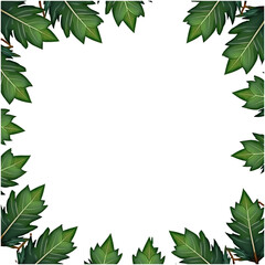 Fototapeta premium Green tree border, green leaves border frame transparent background