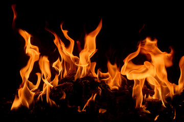 Fototapeta premium Fire flame texture. Blaze flames background. Burning fire backdrop. Flame of fire. Fire background. Flame texture.