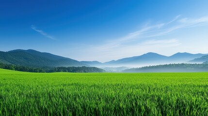 Fototapeta premium Lush green landscape under a clear blue sky
