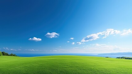 Fototapeta premium Vast green field under a bright blue sky