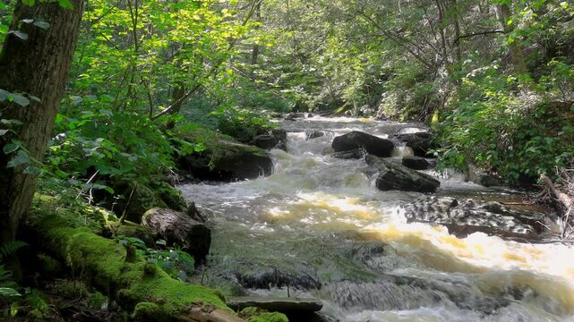 Cascade of waterfalls in scenic Ricketts Glen state park, Pennsylvania.