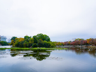 Naklejka premium Cuihu Park on a cloudy day in winter