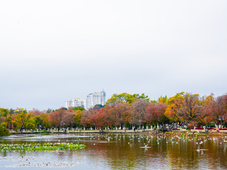Fototapeta premium Cuihu Park on a cloudy day in winter