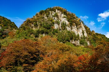 一目八景の紅葉