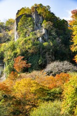 一目八景の紅葉
