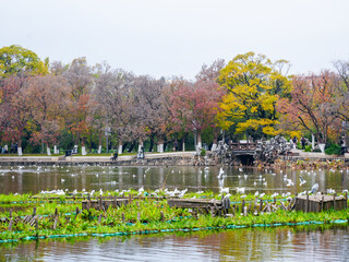 Cuihu Park on a cloudy day in winter