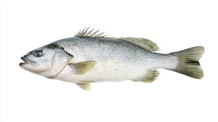 Naklejka premium Glistening Texture of Whole Sea Bass with Fresh Herbs and Lemon - Culinary Delight Concept