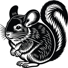 chinchilla vector silhouette, isolated white background
