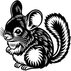 chinchilla vector silhouette, isolated white background
