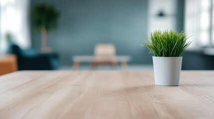 Fototapeta premium Modern interior with a potted plant on a wooden table.