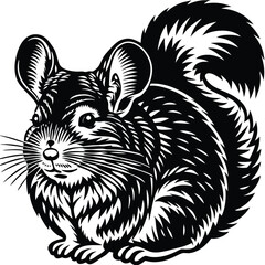 chinchilla vector silhouette, isolated white background
