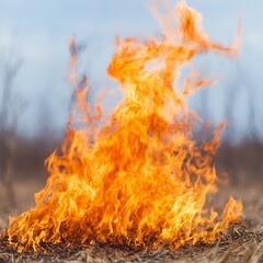 Fiery blaze consuming dry grass in a field.
