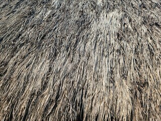 Textured of aged straw stack, showcasing natural textures and earthy tones ideal for rustic visuals