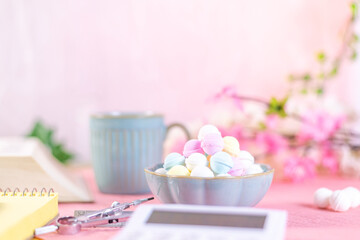 小皿に山盛りに準備されたラムネと勉強道具