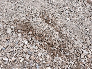 Textured sand with tiny stones, highlighting the raw beauty of a natural environment ideal for design elements