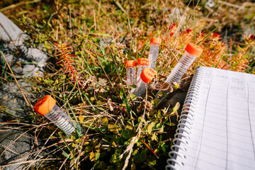 Outdoor ecological environment scientific research and test tube close-up