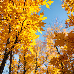 Naklejka premium 가을